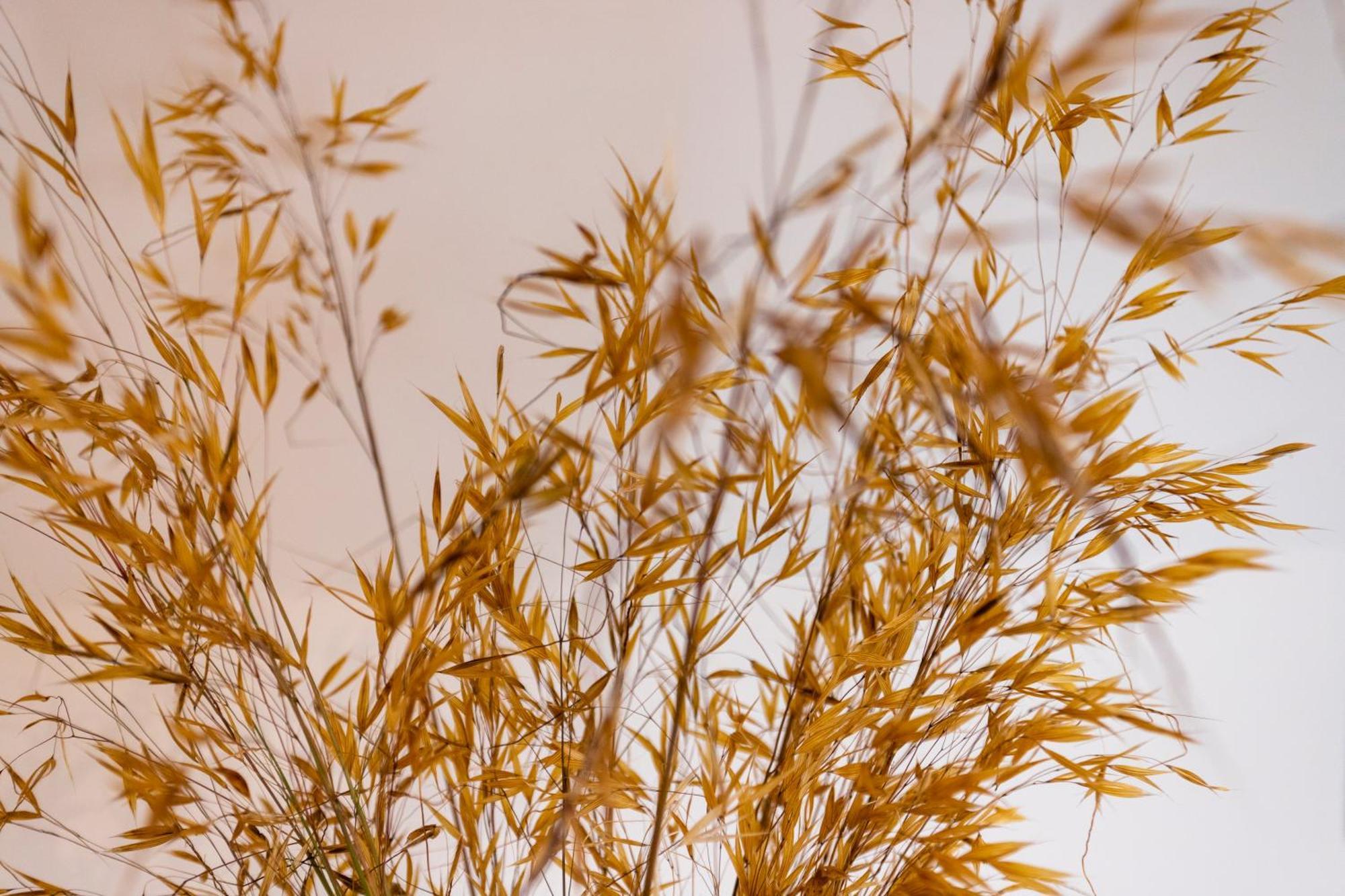 Ericeira Prime Villas 部屋 写真